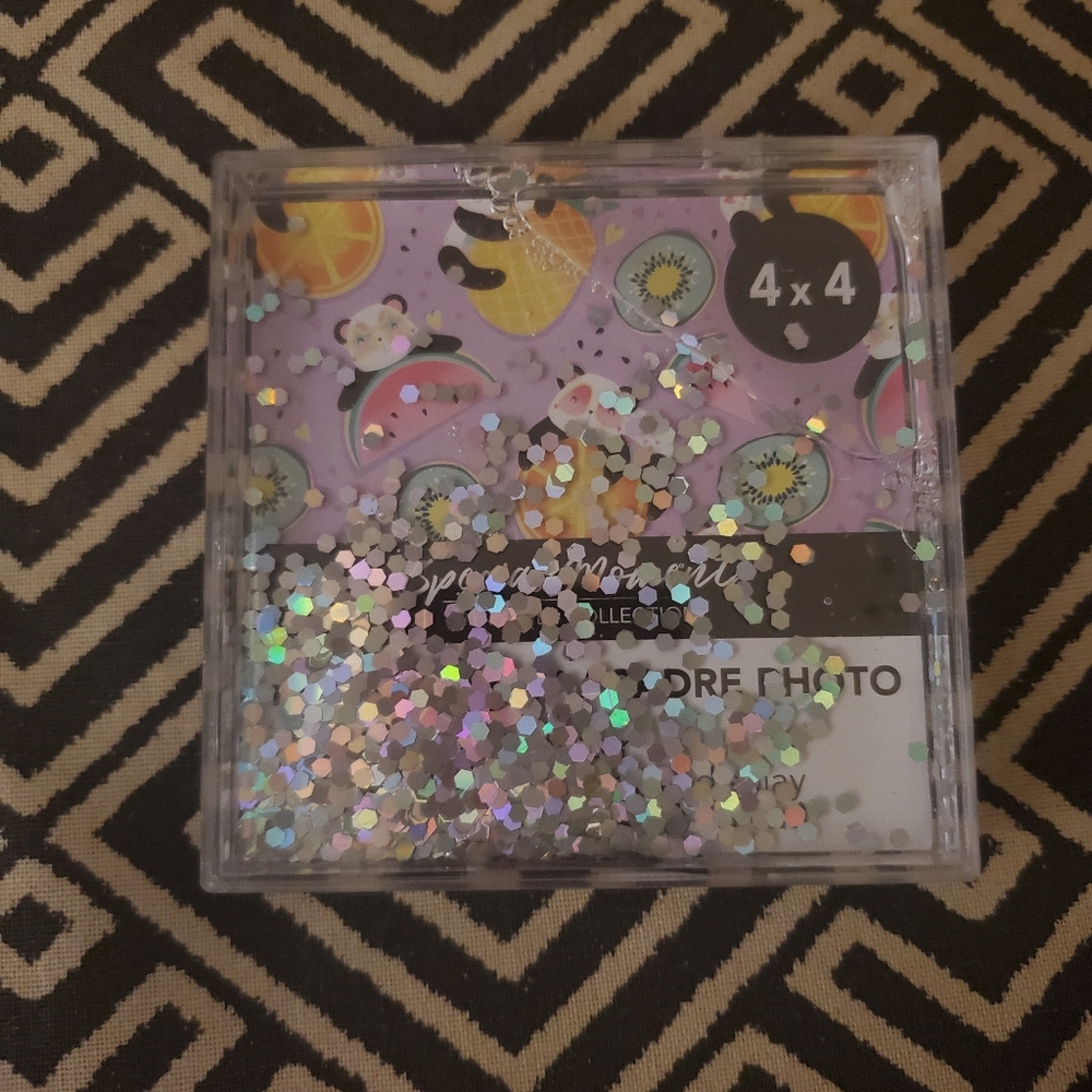 4x4 Snow Globe Frame NWT